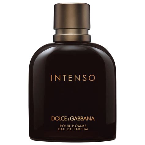 dolce gabbana intenso herrenduft|intenso perfume Dolce & Gabbana.